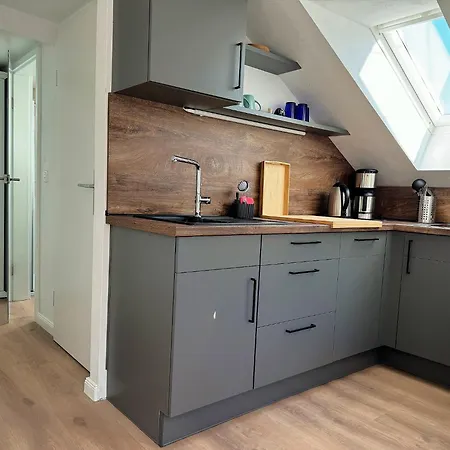 Merl 公寓 摩泽尔河畔的泽尔