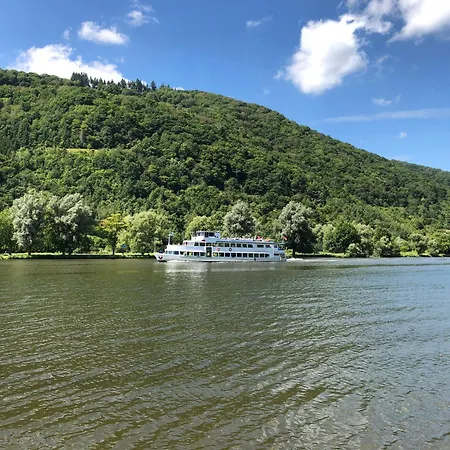 Merl 公寓 摩泽尔河畔的泽尔