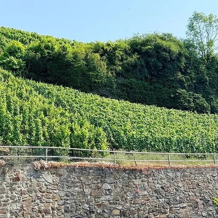 Merl * 摩泽尔河畔的泽尔