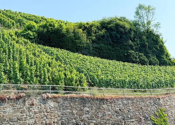 Merl * Zell an der Mosel